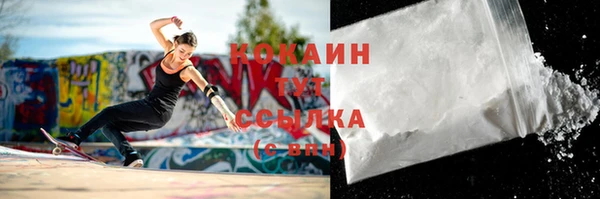 прущие грибы Абаза
