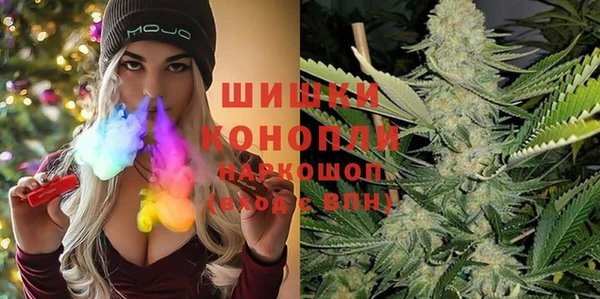 прущие грибы Абаза