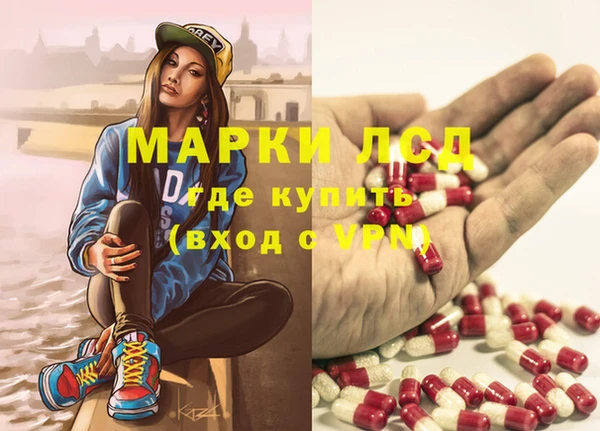 прущие грибы Абаза