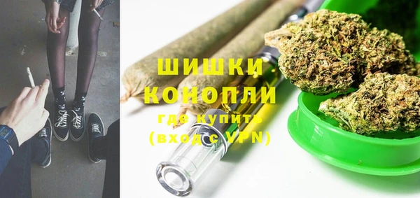 PSILOCYBIN Алзамай