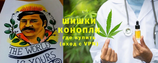 прущие грибы Абаза