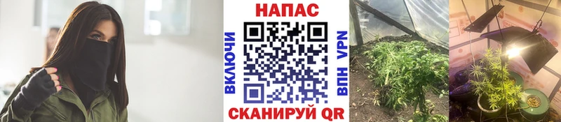 дарк нет как зайти  MEGA ссылки  Чекалин  МАРИХУАНА план 